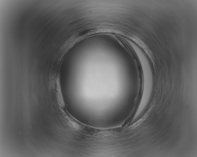 X0000074000993200608281335