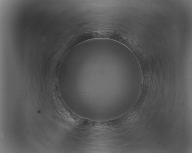 X0000074001009200608281334