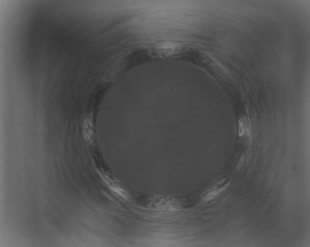 X0000074001011200608281334