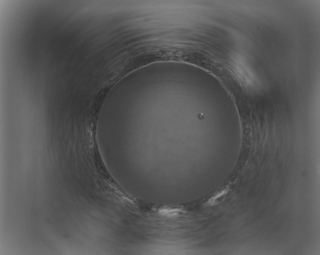 X0000074001013200608281334
