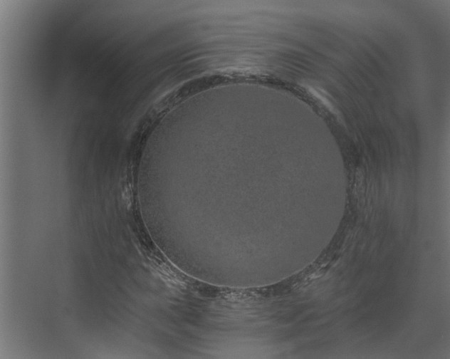 X0000074001015200608281334