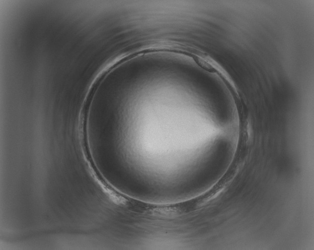X0000074001053200608281335