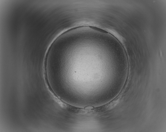 X0000074001056200608281335