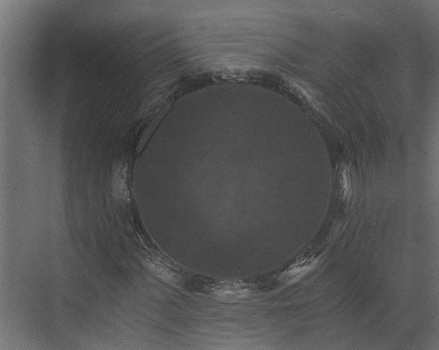 X0000074001060200608281334