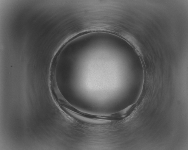 X0000074001093200608281333