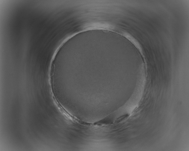 X0000074001104200608281333