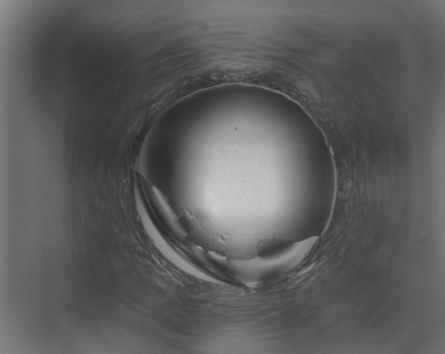 X0000074001109200608281332