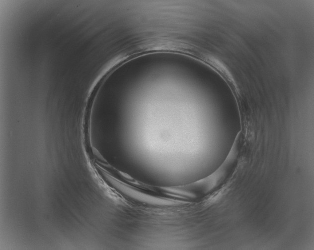 X0000074001138200608281333