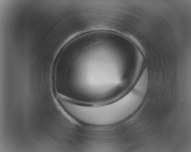 X0000074001142200608281333