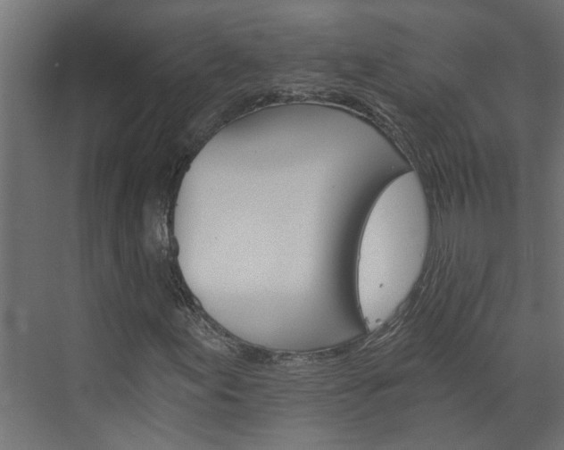 X0000074001155200608281332