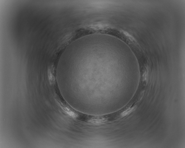 X0000074001156200608281332