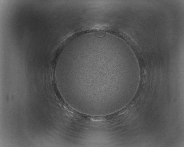 X0000074001158200608281332
