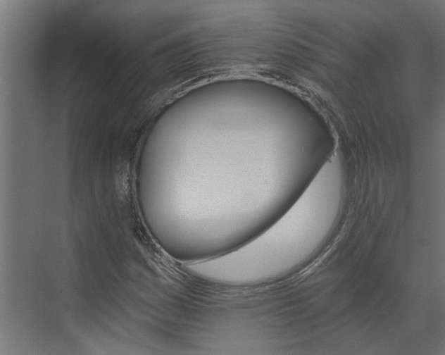 X0000074001161200608281332