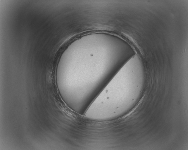 X0000074001163200608281332