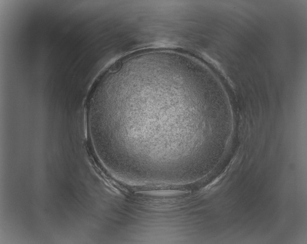 X0000074001171200608281332