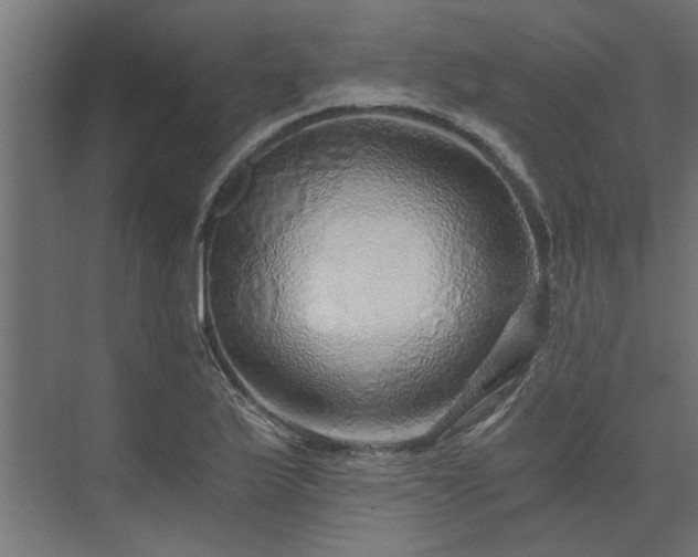 X0000074001175200608281332
