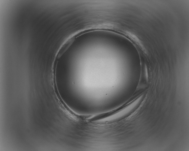 X0000074001184200608281332