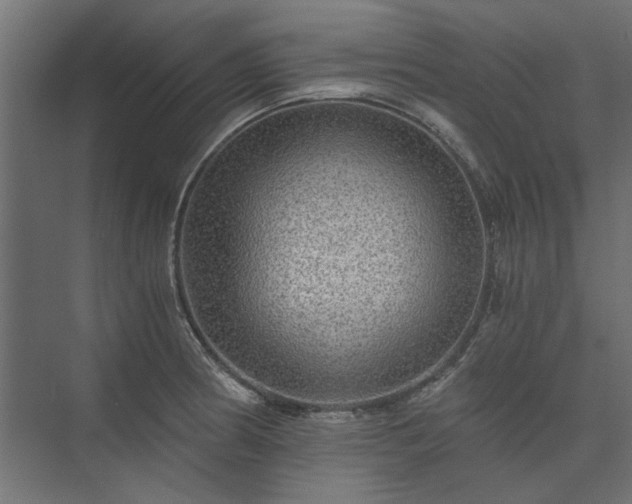 X0000074001186200608281332