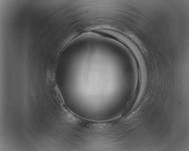 X0000074001193200608281332