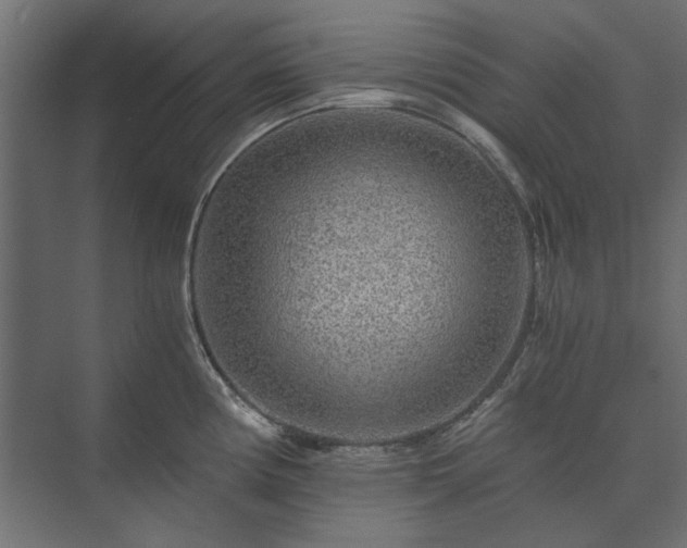 X0000074001194200608281332