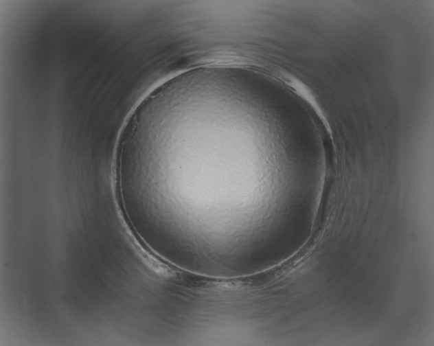 X0000074001195200608281332