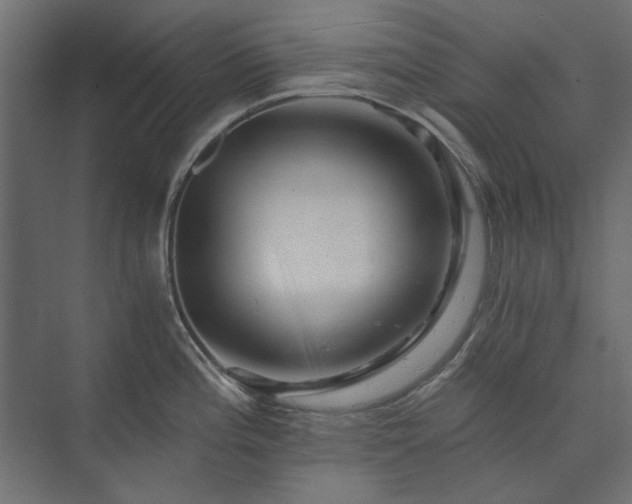 X0000074001196200608281332
