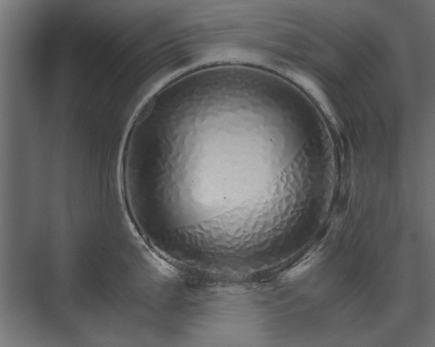 X0000074001199200608281332