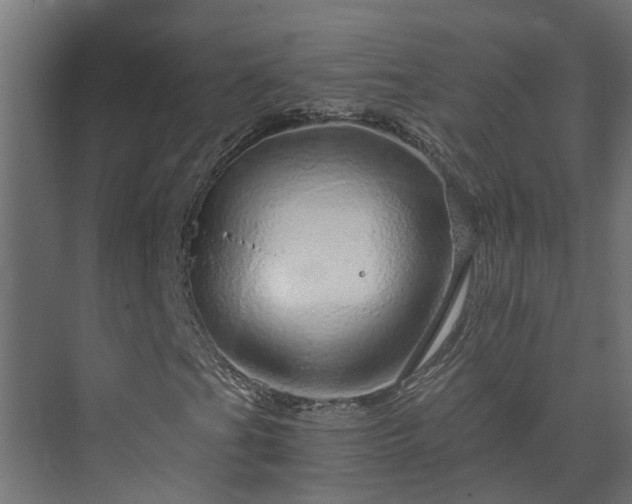 X0000074001201200608281331