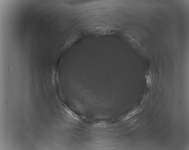 X0000074001202200608281331