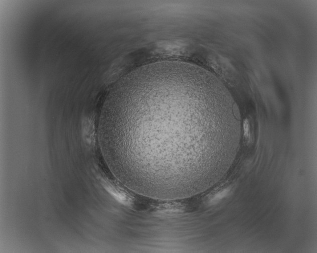 X0000074001203200608281331