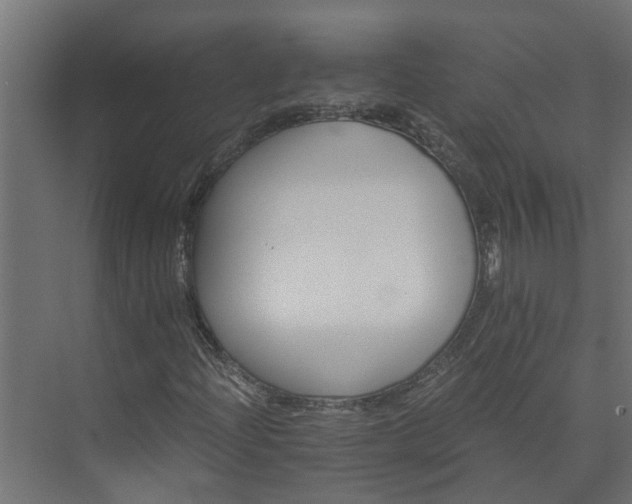 X0000074001204200608281331