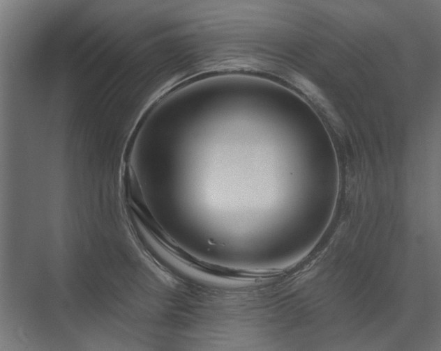 X0000074001234200608281331