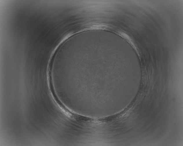 X0000074001235200608281331