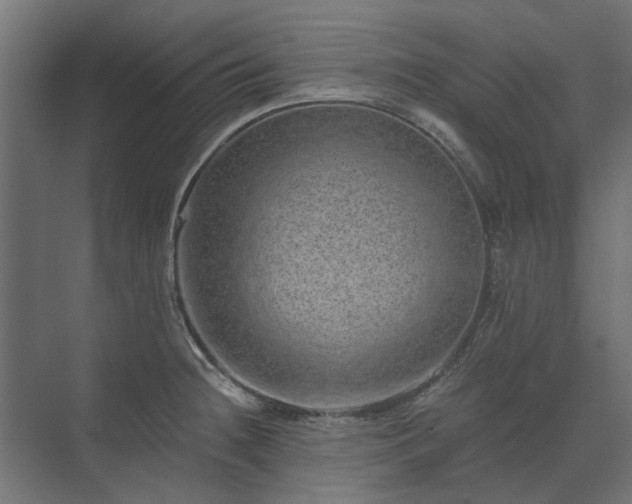 X0000074001236200608281331