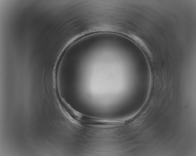 X0000074001238200608281331