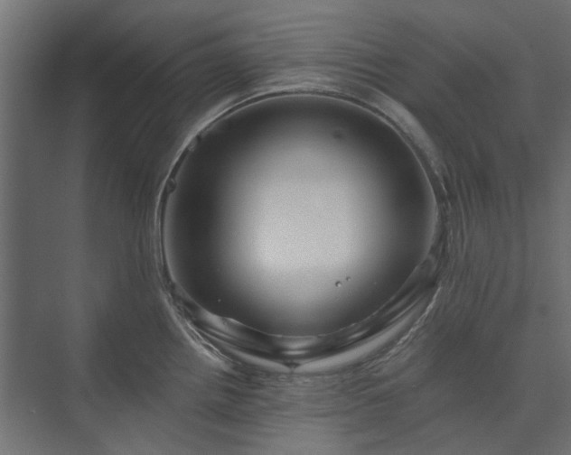 X0000074001242200608281331