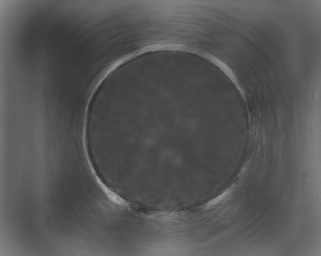 X0000074001245200608281331