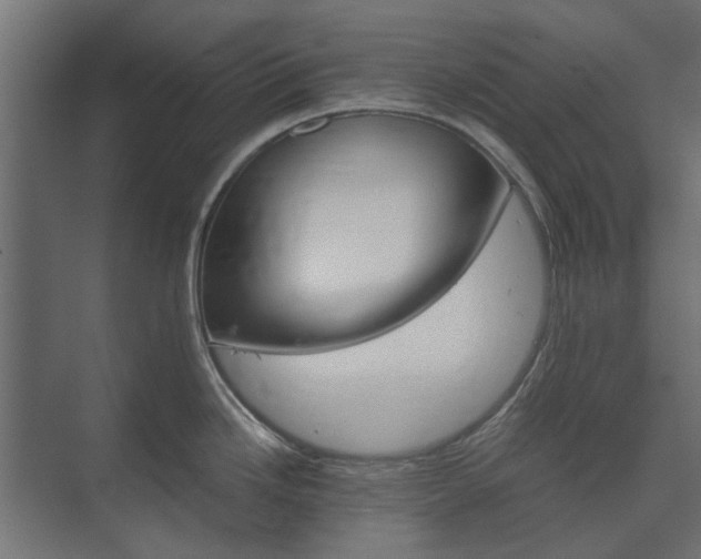 X0000074001246200608281331