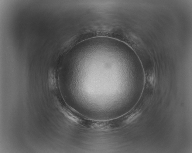 X0000074001252200608281331