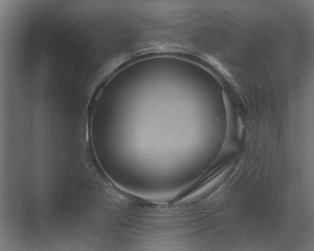 X0000074001269200608281330