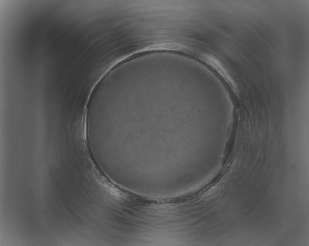 X0000074001276200608281330