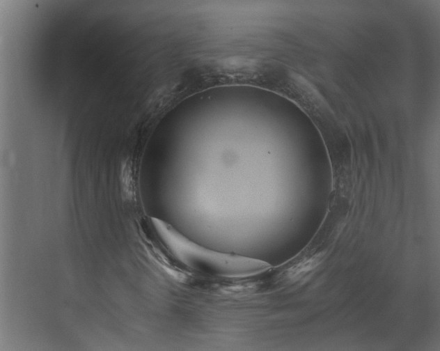 X0000074001298200608281329
