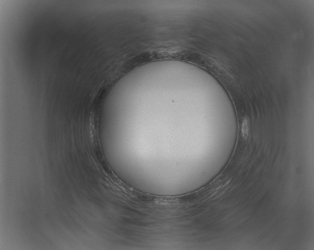 X0000074001299200608281329