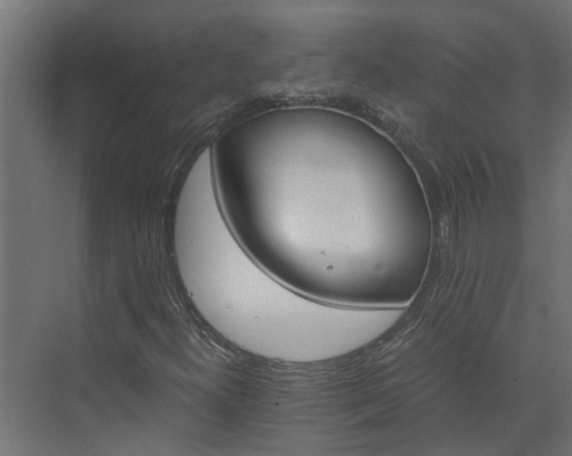 X0000074001300200608281329