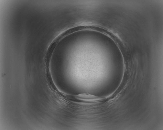 X0000074001311200608281329
