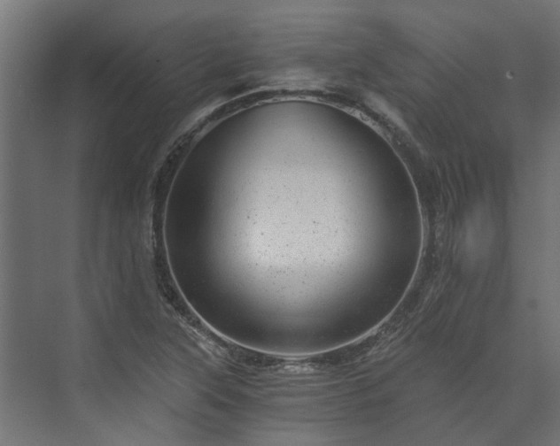 X0000074001315200608281329