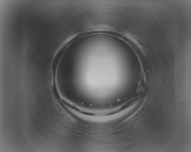 X0000074001317200608281329
