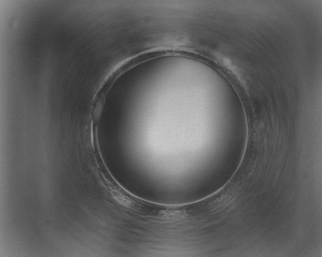 X0000074001320200608281330