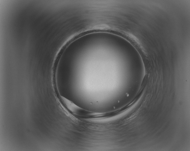 X0000074001326200608281330