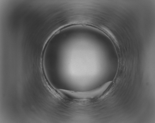X0000074001340200608281330